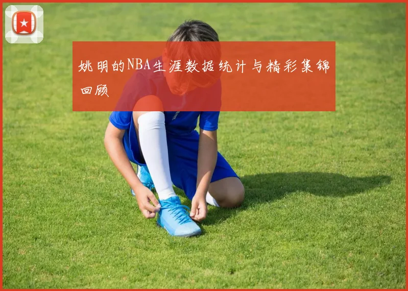 姚明的NBA生涯数据统计与精彩集锦回顾